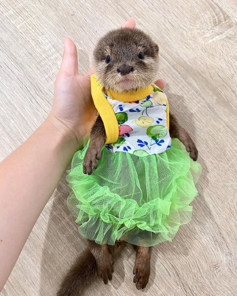 Хорошего дня несмотря на погоду