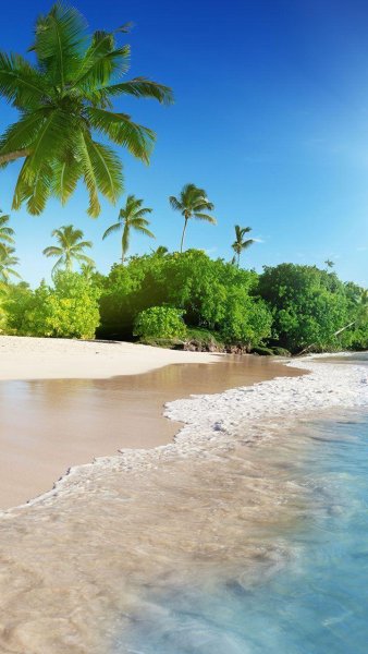 Летнее море