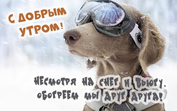 Вот и осень пришла