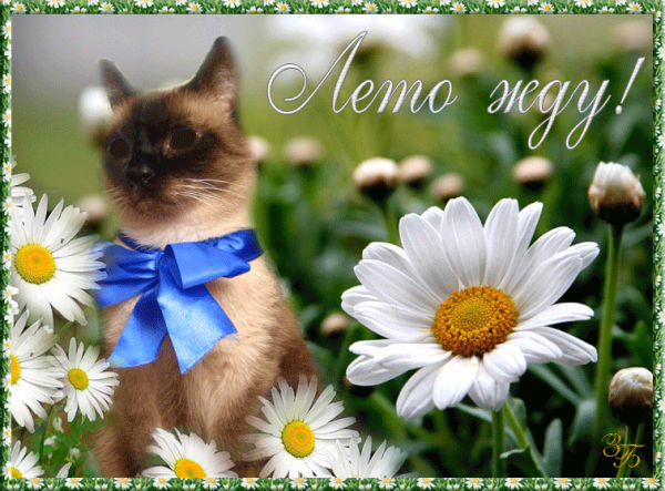 С последним днем весны