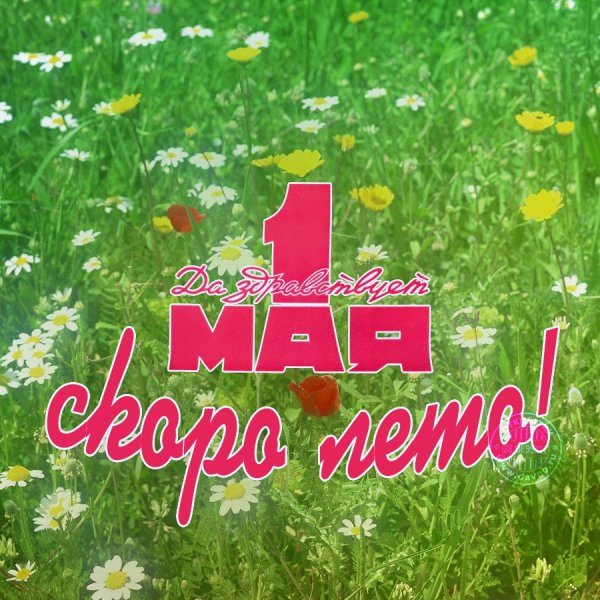 Мир труд май