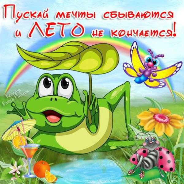 С летом поздравления