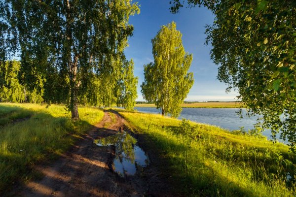 Родные просторы Пушгоры панорама