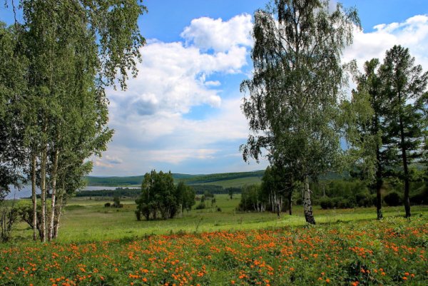 Весенние поля России