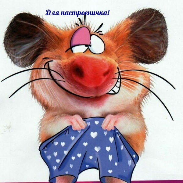 Открытки для поднятия настроения парню