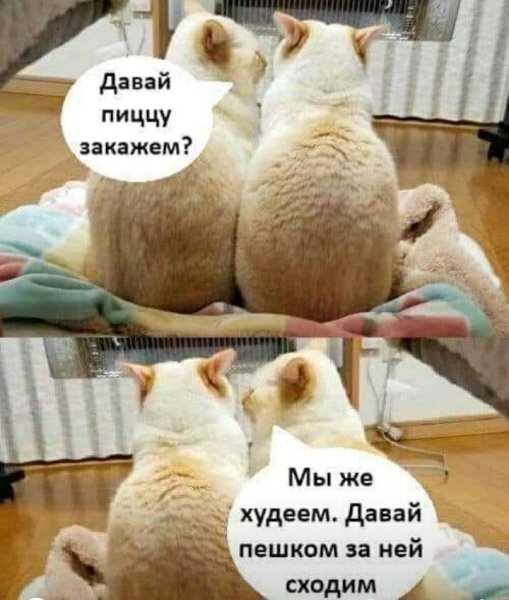 Удачного дня юмор