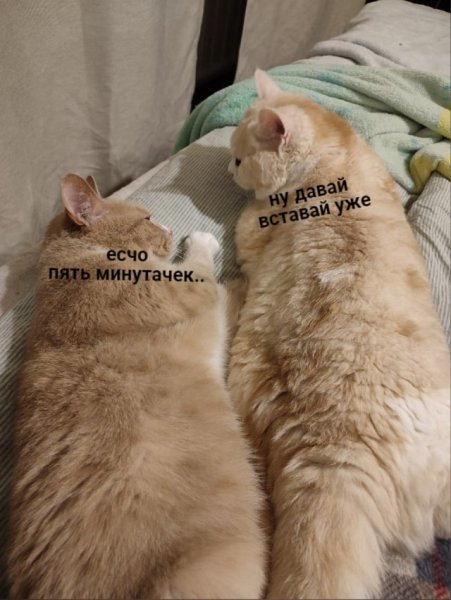 Я отдыхаю на море