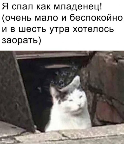 Осенние позитивные высказывания