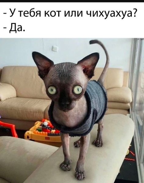 Лето закончилось