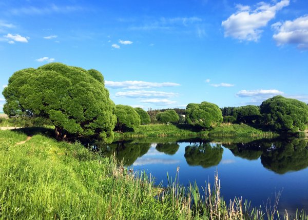 Река Скалба