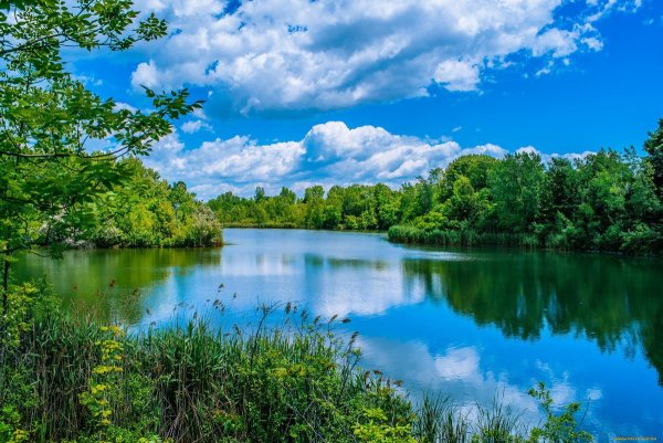 Телевизор Рубин RB-39k105t2s 39"