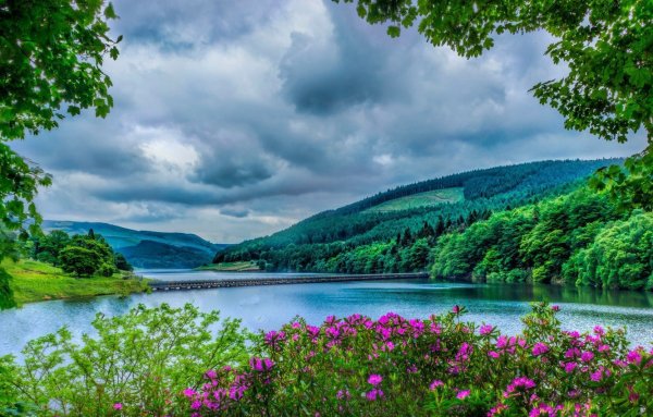 Природа река