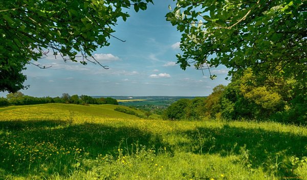 Природа летом