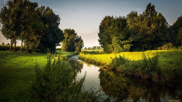 Природа река