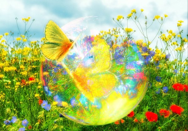 Радость жизни природа