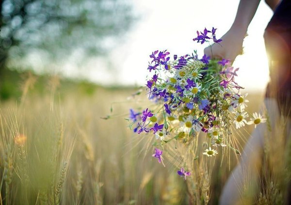 Солнечный день девушки