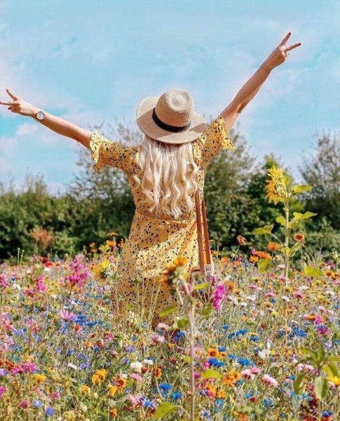 Море птицы девушка