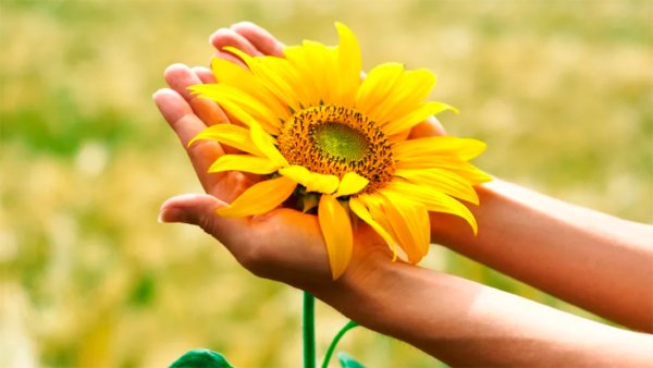 Осень ветер