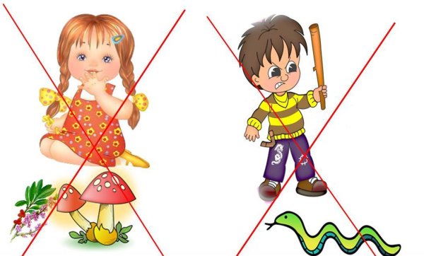 Безопасность на природе для детей