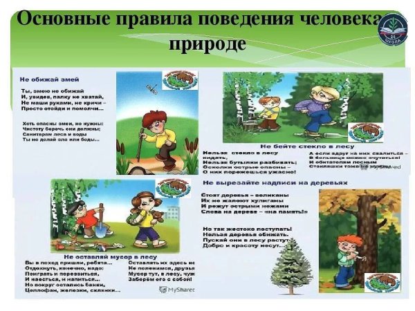 Правила поведения на природе