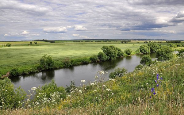 Река Усманка фото с квадрокоптера