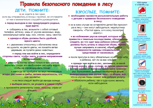 Памятка по безопасному поведению в лесу