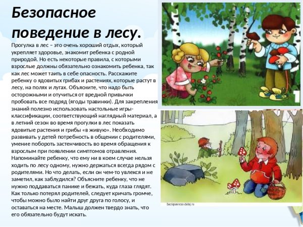 Безопасность детей летом в лесу