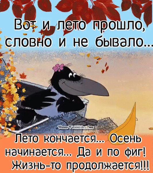 Вот и лето прошло словно и не бывало