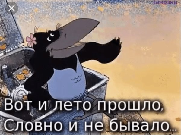 Вот и лето прошло
