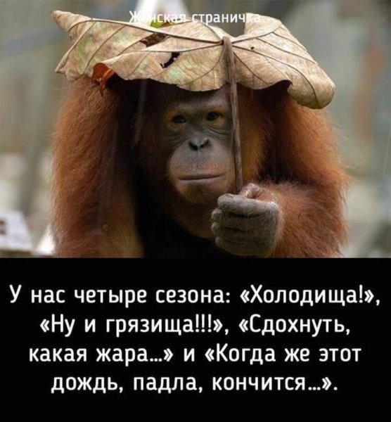 Тили-тили Трали-Вали вот и лето