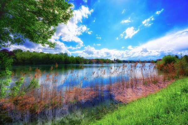 Русская природа