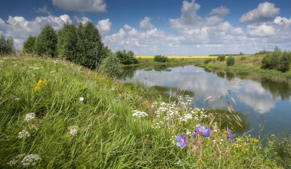 Река Тигода