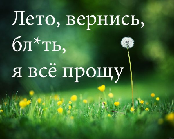 Жаркое лето