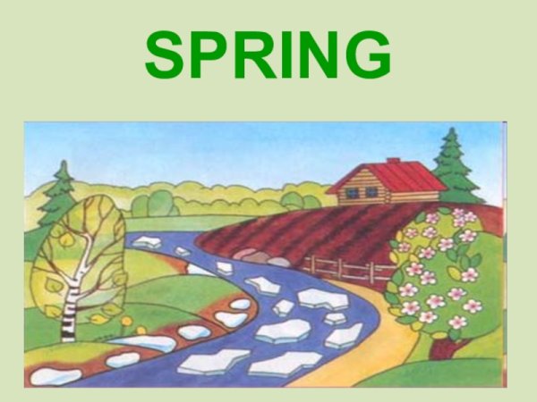 Тема my Summer Holidays