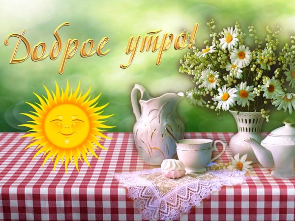 С добрым летнтнтм утром