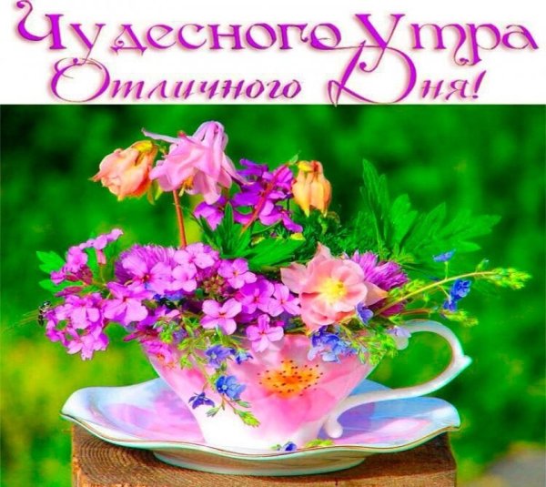 Теплые пожелания с добрым утром