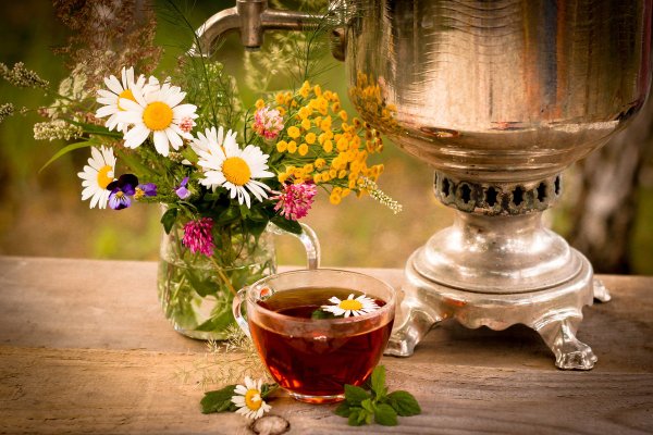 С добрым летним утром