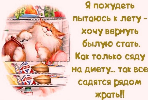 Смешные цитаты про диету