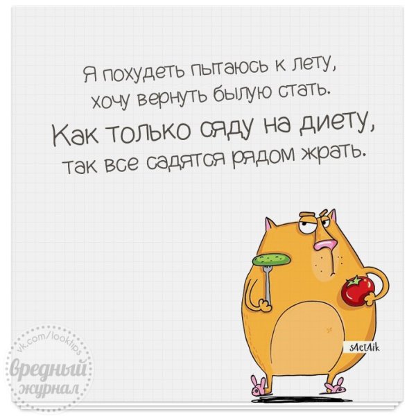Садись на диету