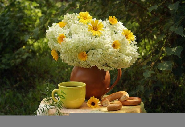 Солнечного августовского утра