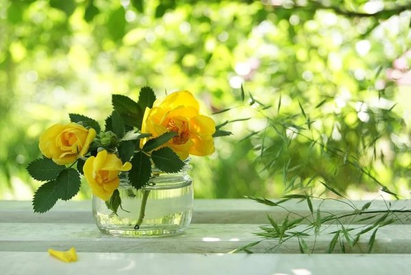 Солнечного летнего настроения