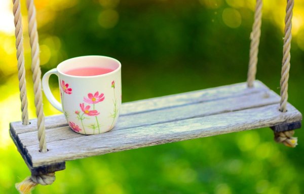 Натюрморт лето