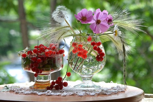 Августовские полевые цветы