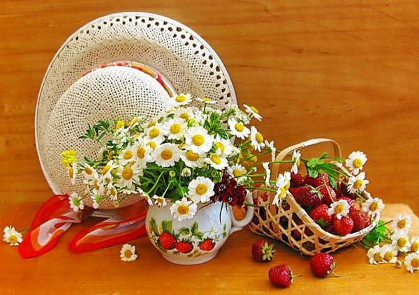 Чудесного летнего утра и прекрасного дня