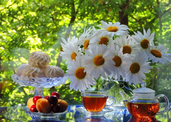 Утро Подсолнухи