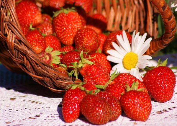 Чудесного летнего дня