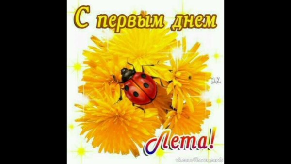 Поздравления с первым днем лета прикольные