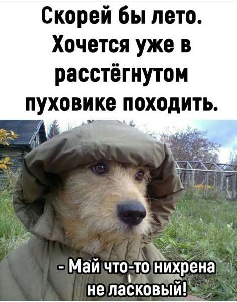 Скорей бы лето,так хочется в расстёгнутом пуховике походить картинки