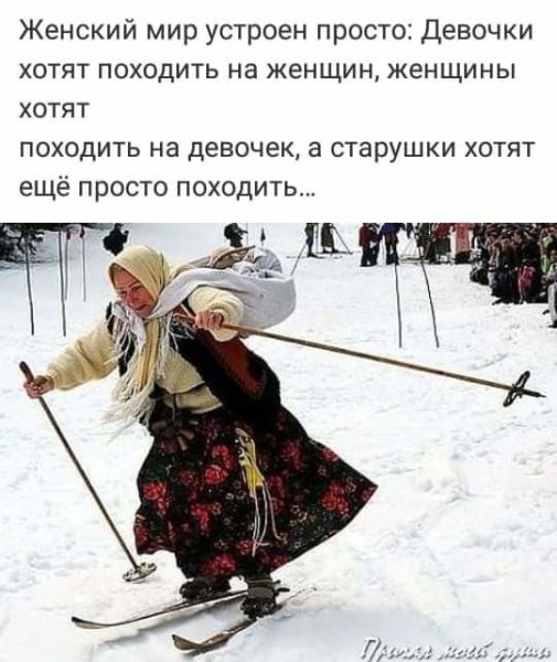 Белка демотиватор