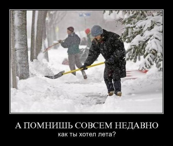Много снега прикол